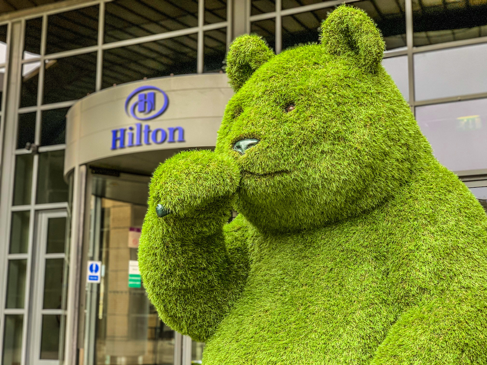 artificial grass in chobham and woking