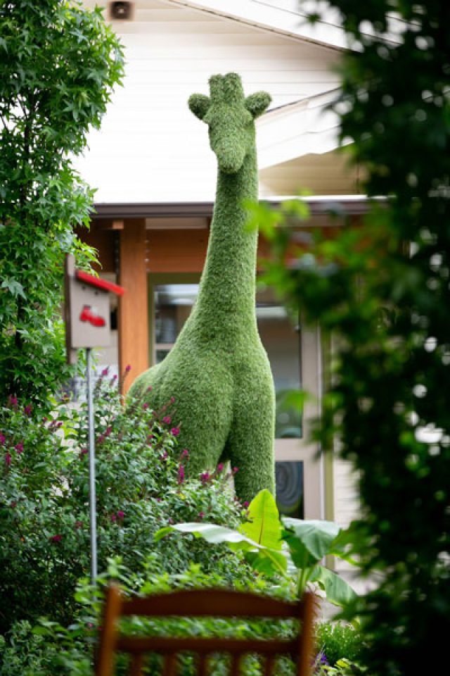 Artificial Grass Photo Gallery | Easigrass™ Artificial Grass Photo Gallery | Easigrass™