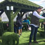 artificial grass display at Easigrass display royal county Berkshire show award