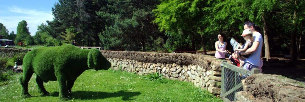 Family enjoying artificial grass buffalo
