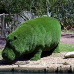 Artificial grass hippo