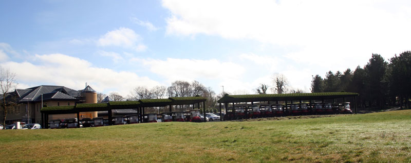 grass covered buggy shelter