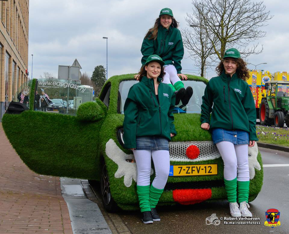 Artificial grass car with Easigrass staff