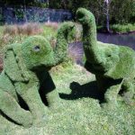 Artificial grass elephants