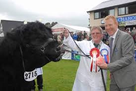 Easigrass at Royal Welsh Show
