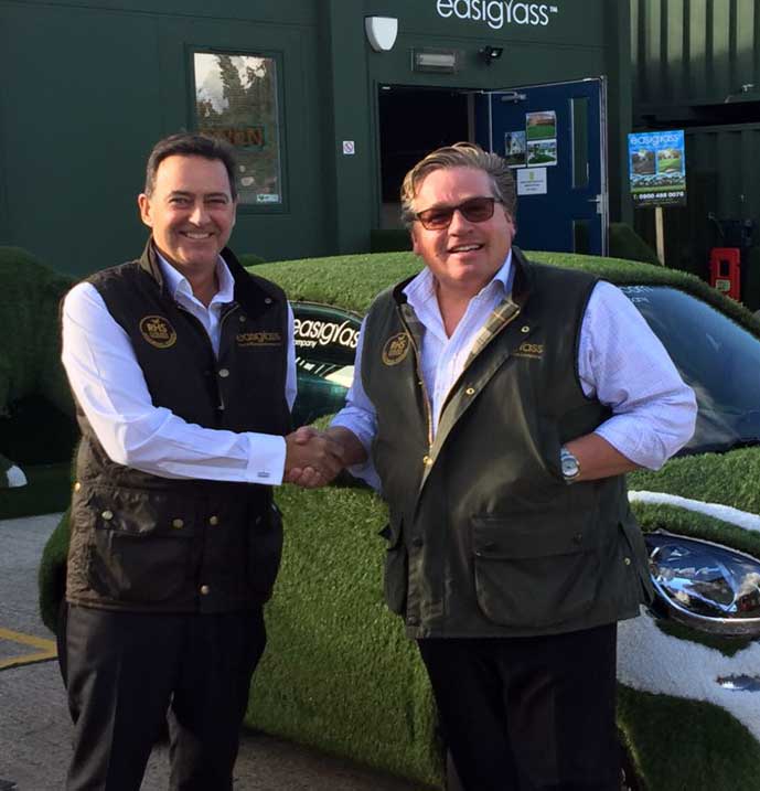 artificial grass sales director