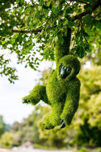 easigrass animals - monkey