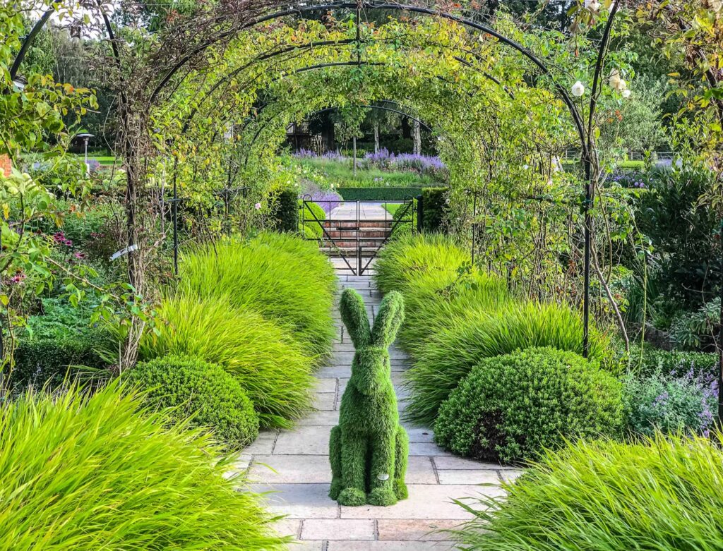 easigrass animals - rabbit