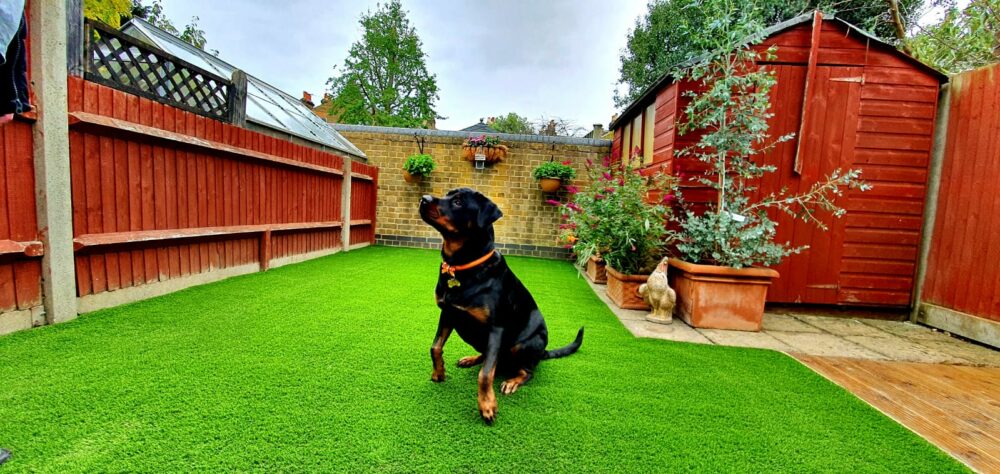 Easigrass Artificial Grass