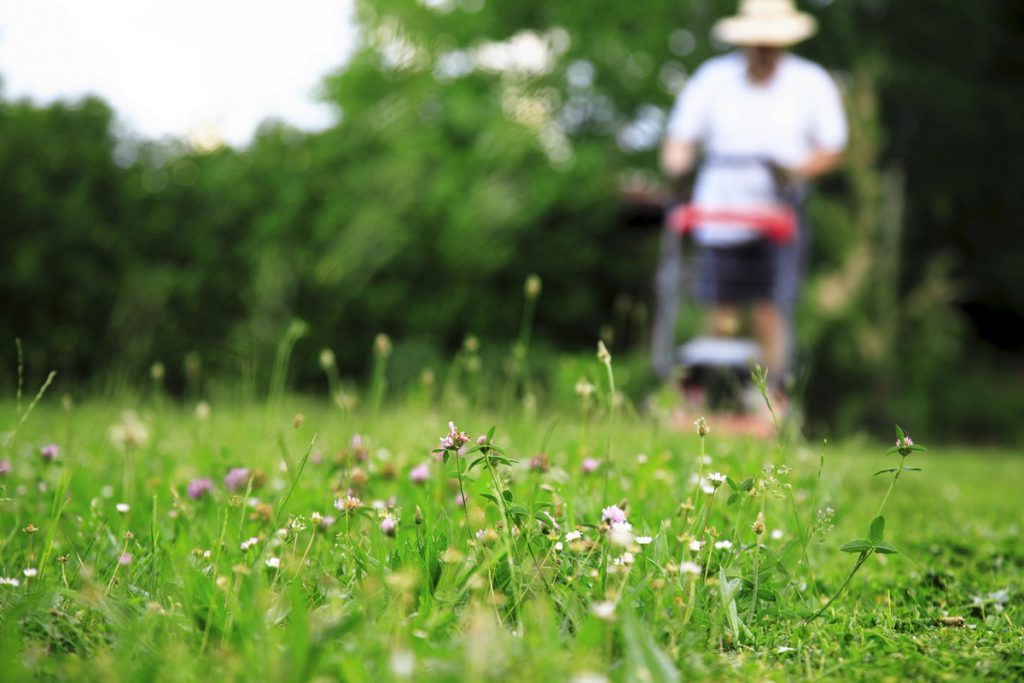 Someone mowing grass