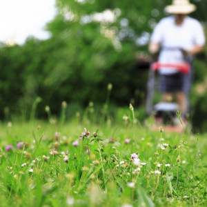 Someone mowing grass