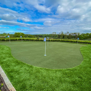 home artificial grass golf course