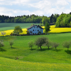 Rural house in field