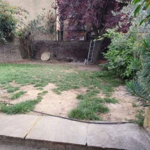 garden with patches in the grass
