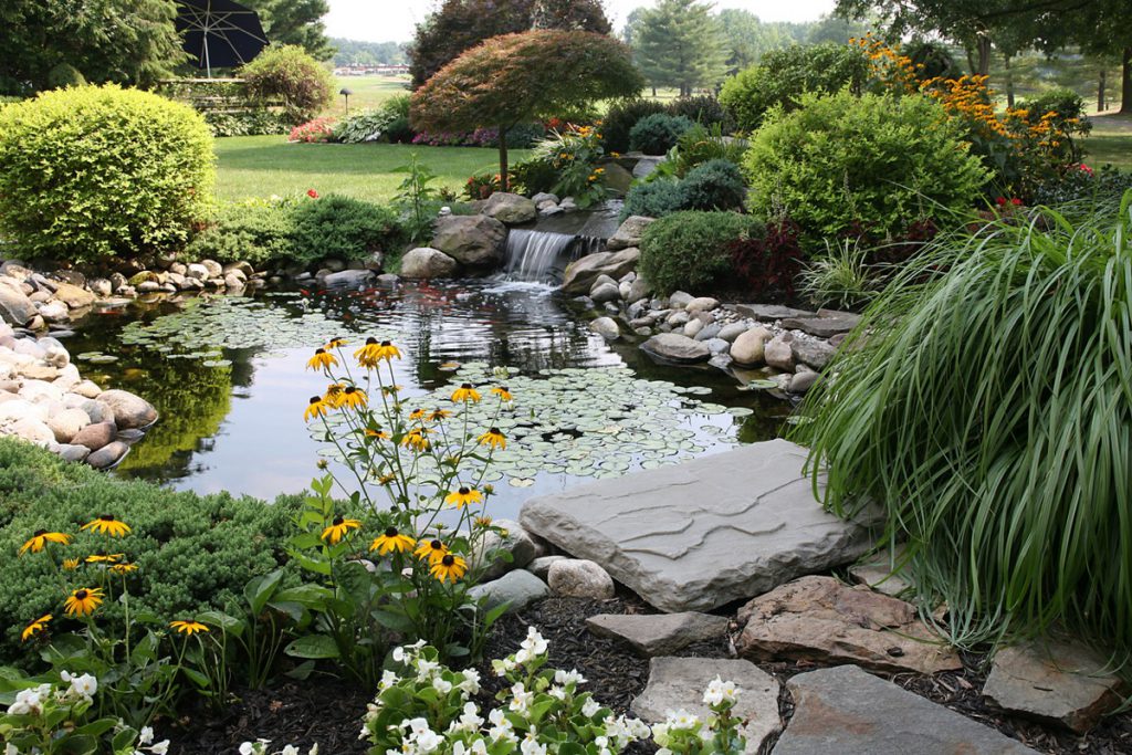 tranquil pond water with flowers and waterfall