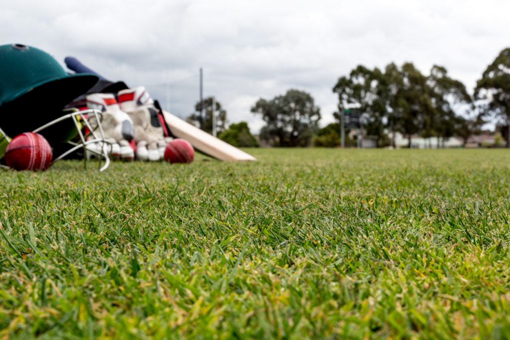 artificial grass for cricket