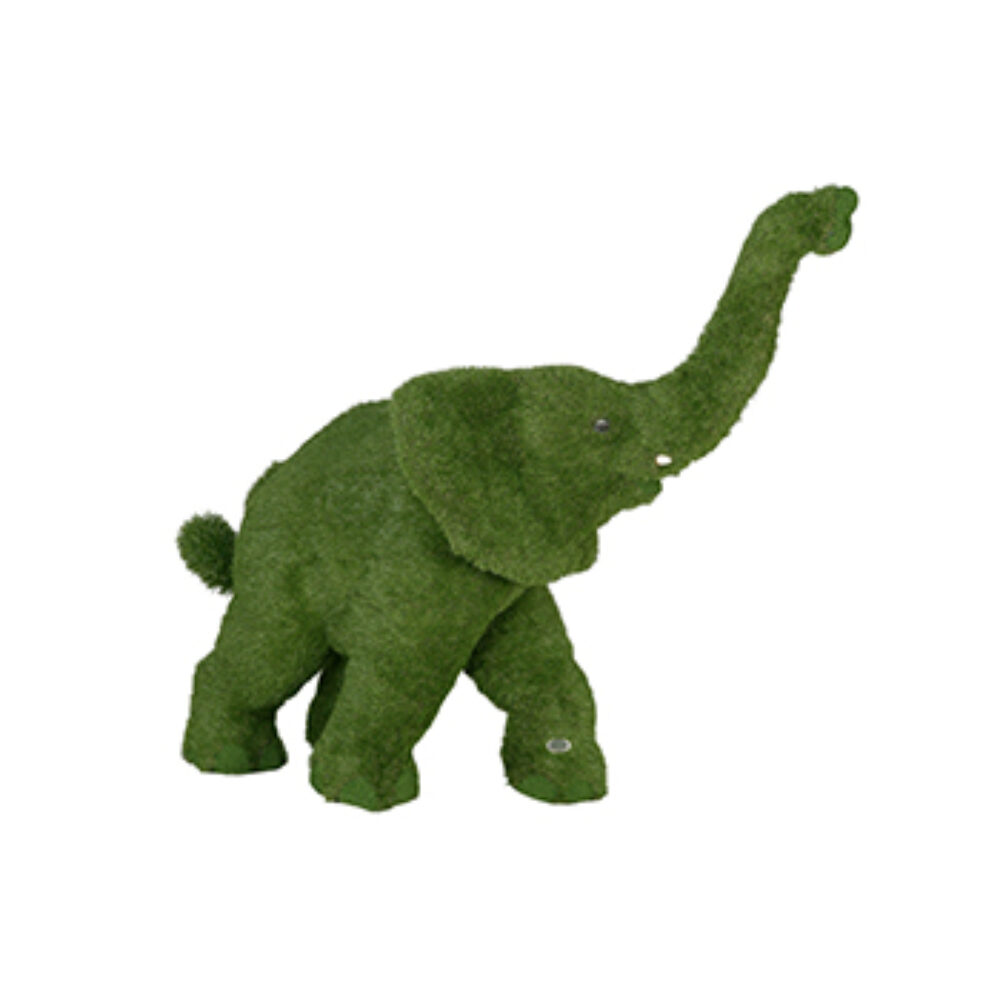 Elephant – Walking