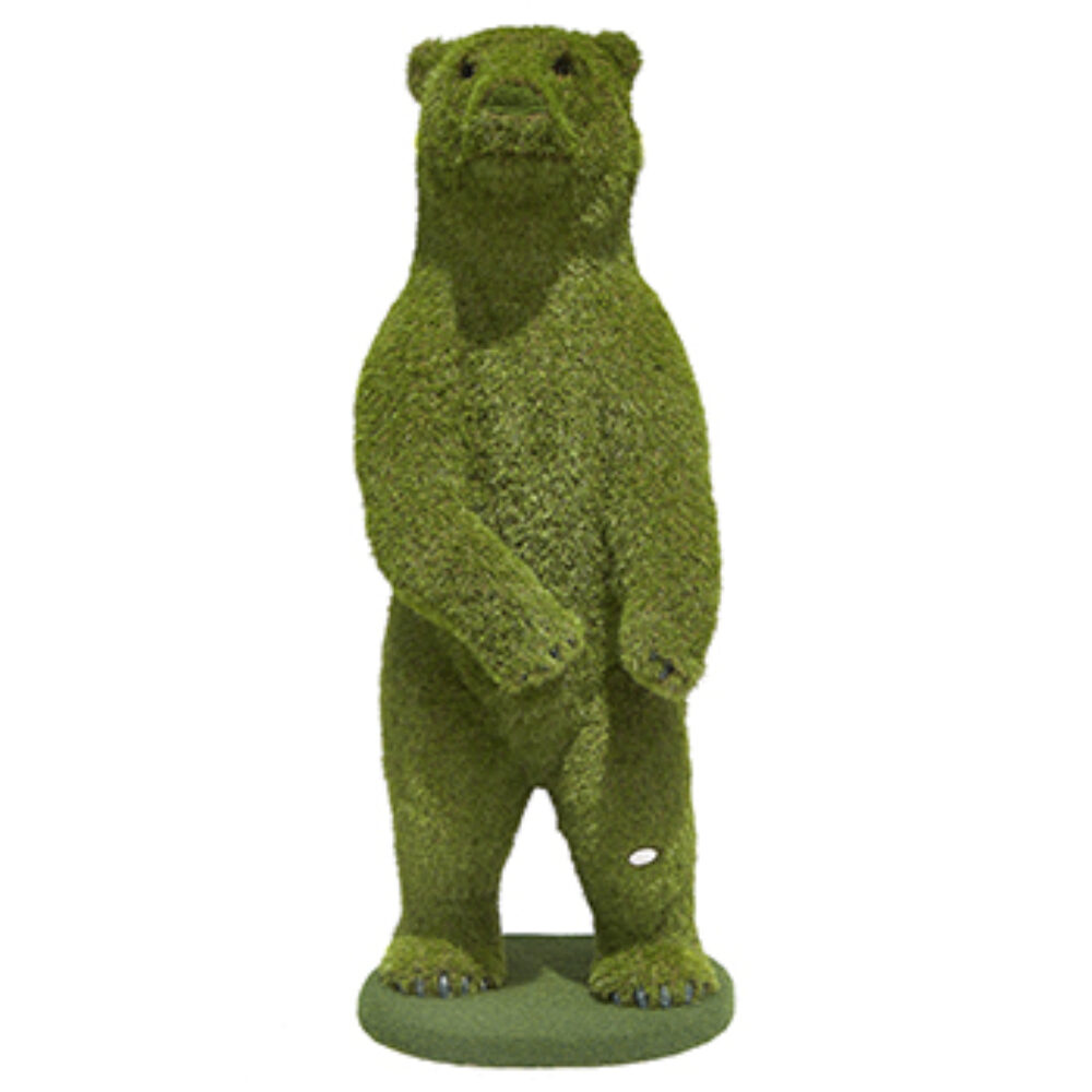 Bear Standing