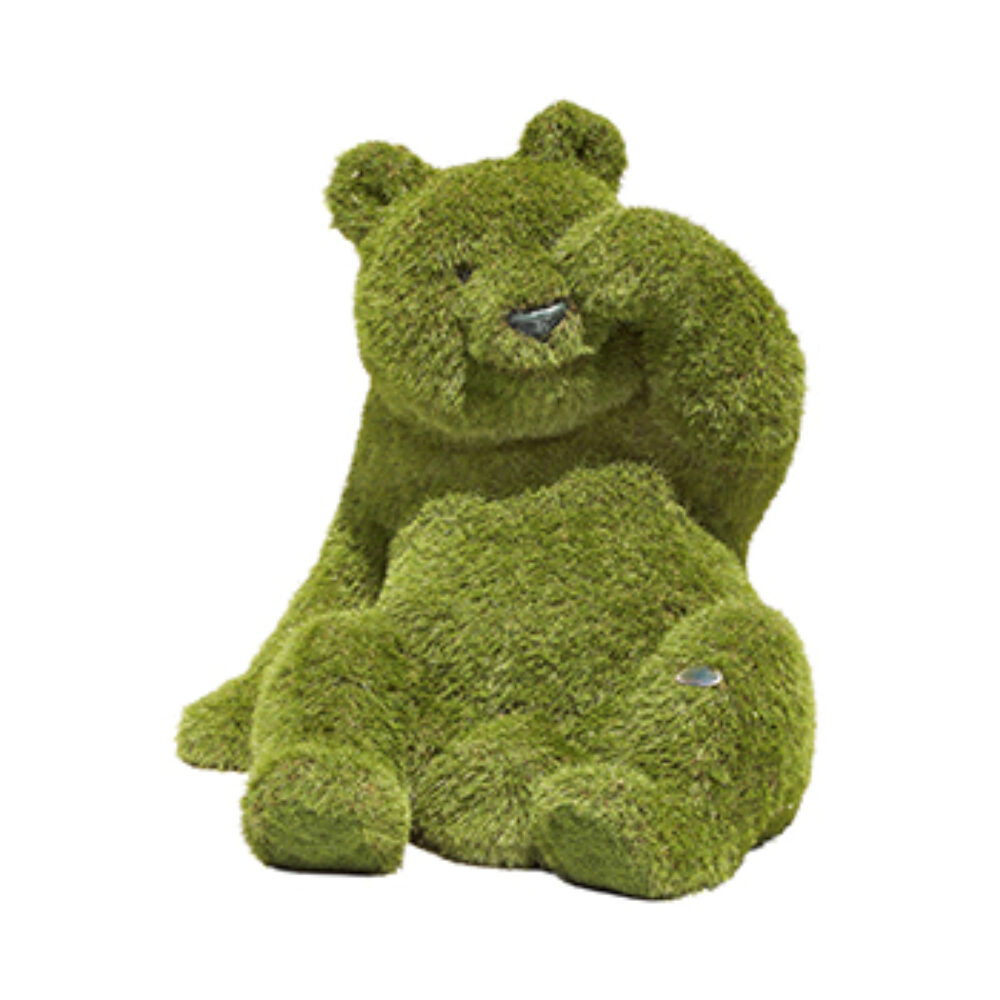 Bear Sitting