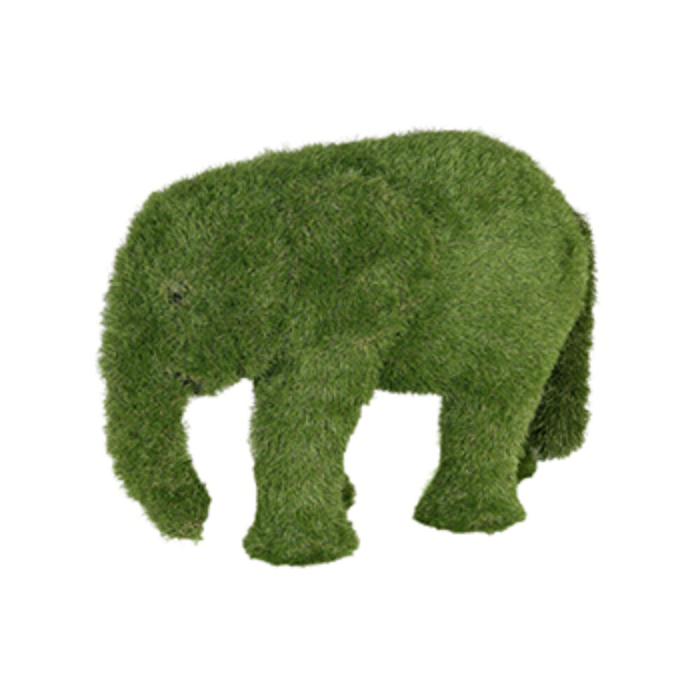 Baby Elephant