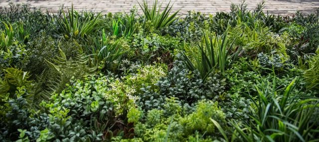 Easigrass Distribution Ltd