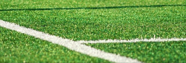 Easigrass Distribution Ltd