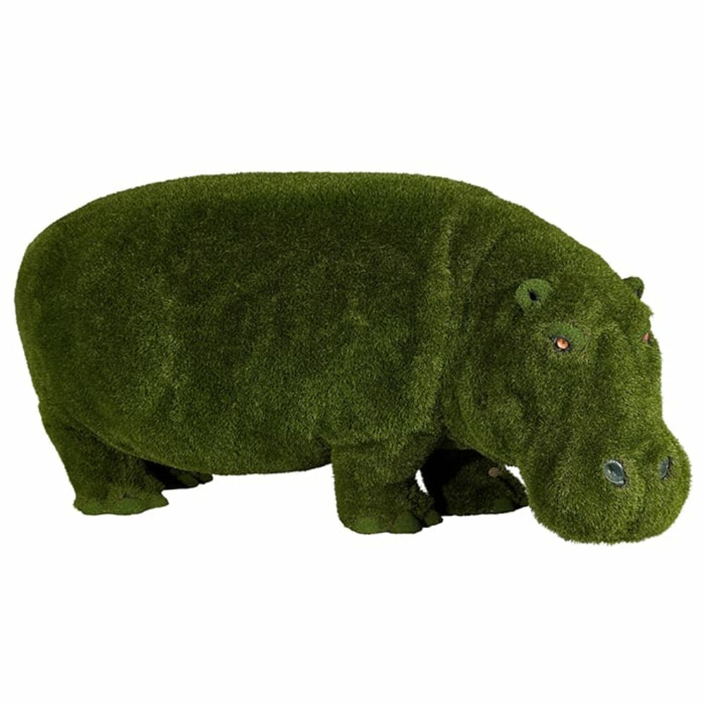Hippo