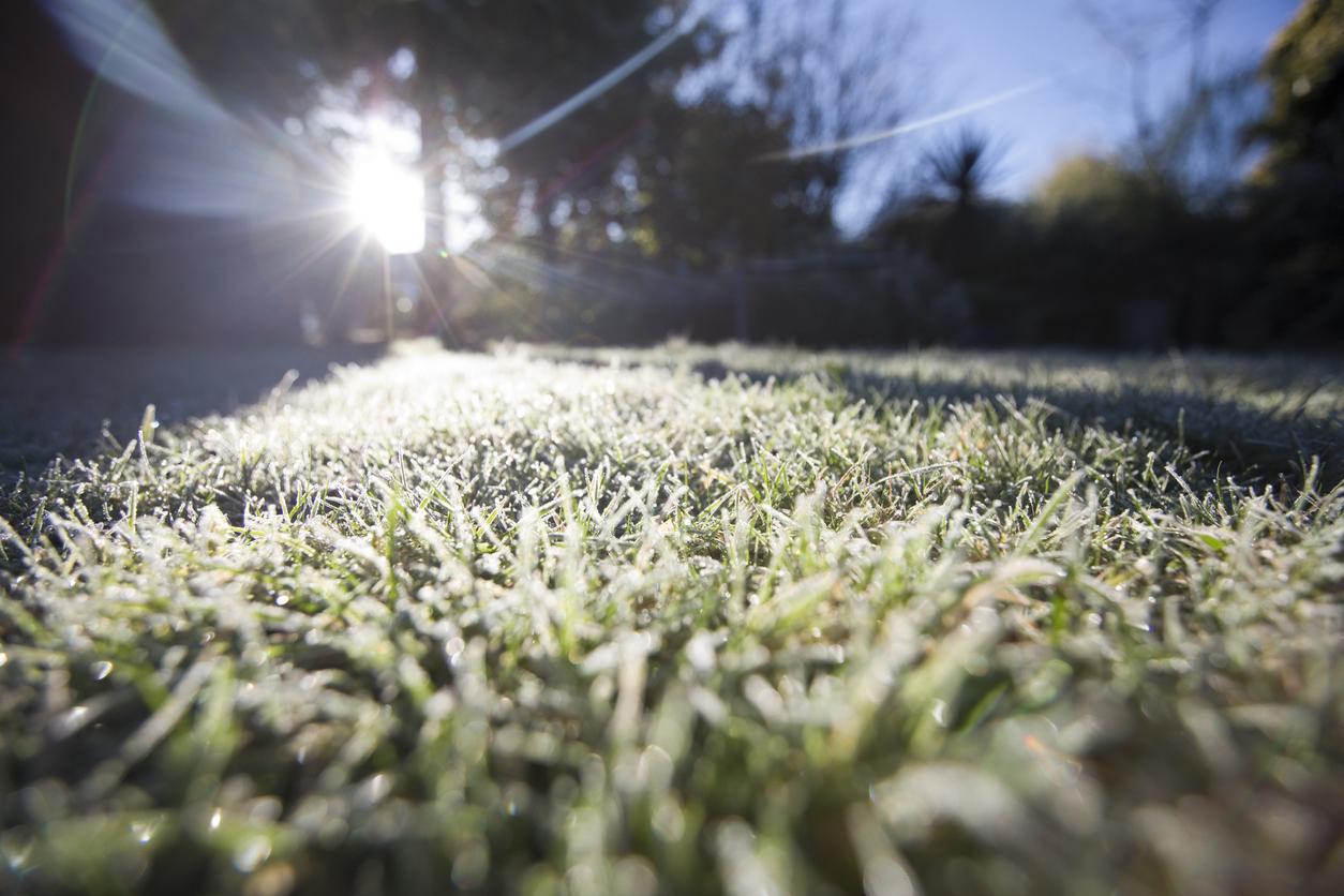 How to care for your artificial grass in winter