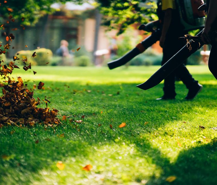 How To Maintain Your Artificial Grass