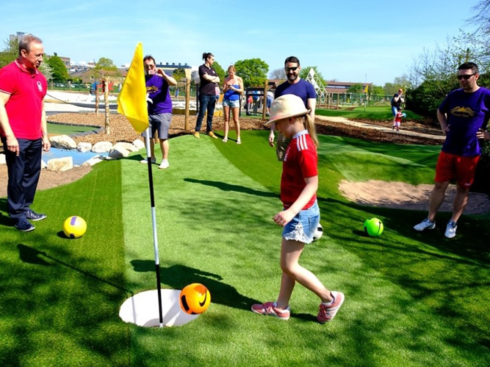 Artificial grass back garden
