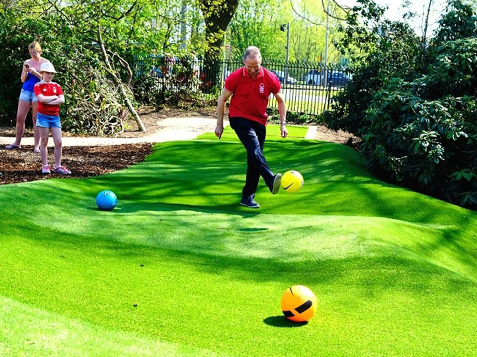 Artificial grass back garden
