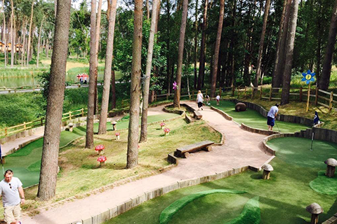 Types of artificial grass - lush green back garden with dogs