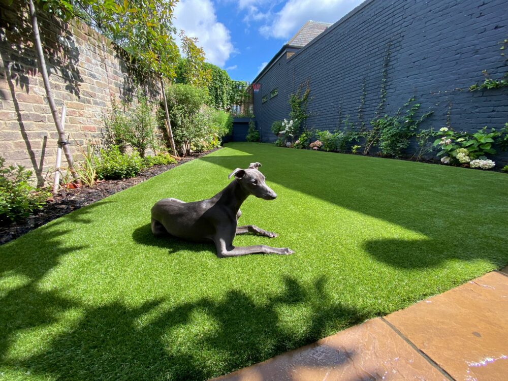 How Artificial Grass Protects Your Pets How Artificial Grass Protects Your Pets