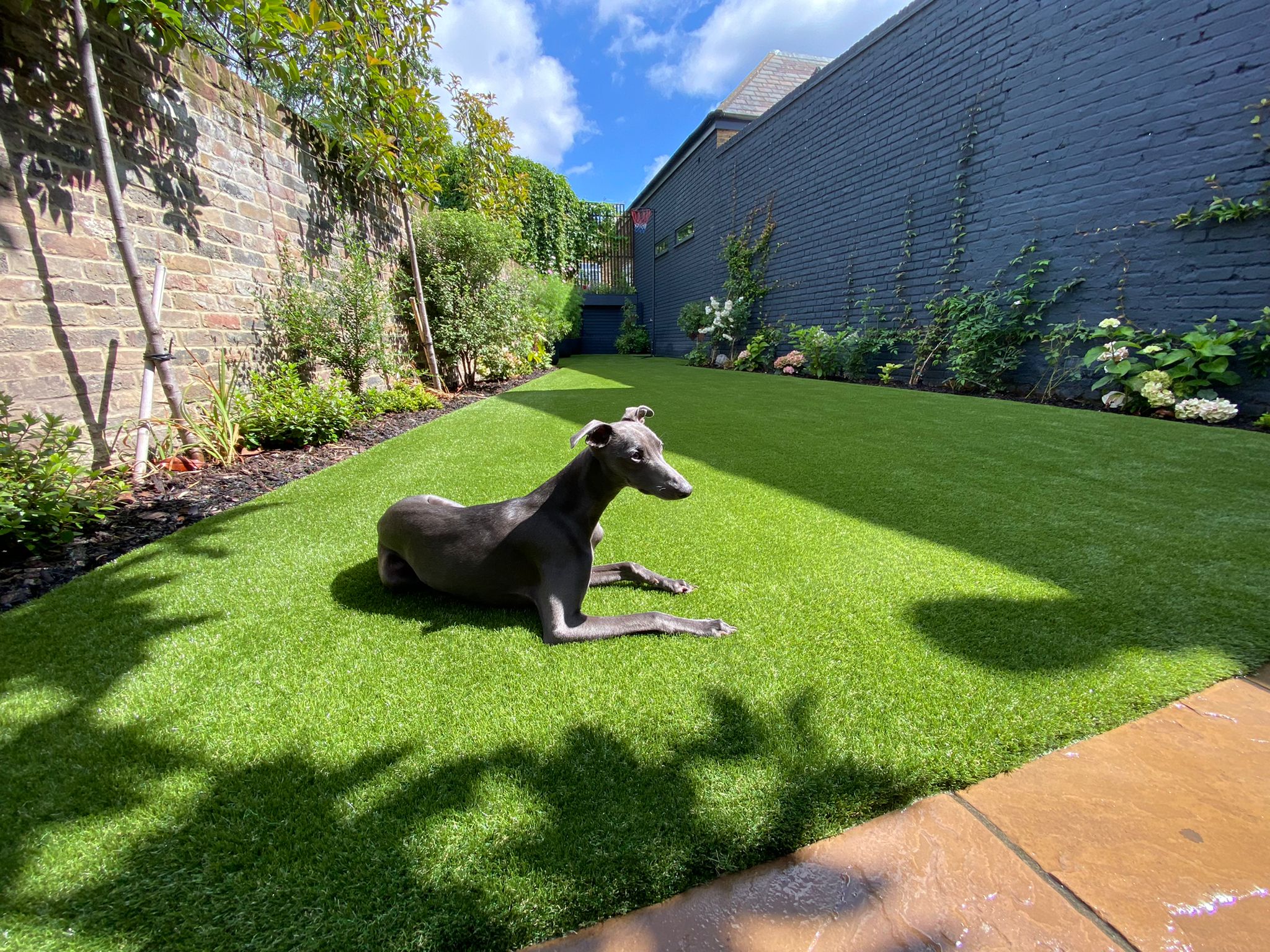 How Artificial Grass Protects Your Pets