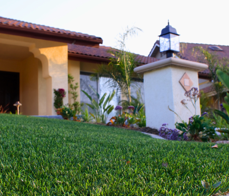 The ‘Do’s and Don’ts of Artificial Grass