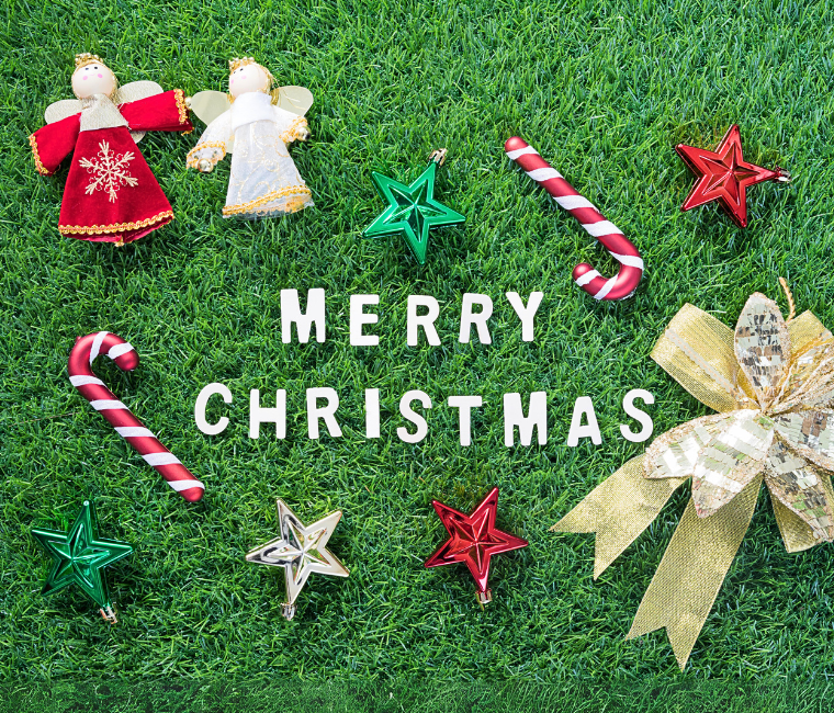 Easigrass™ Gift Ideas For Christmas