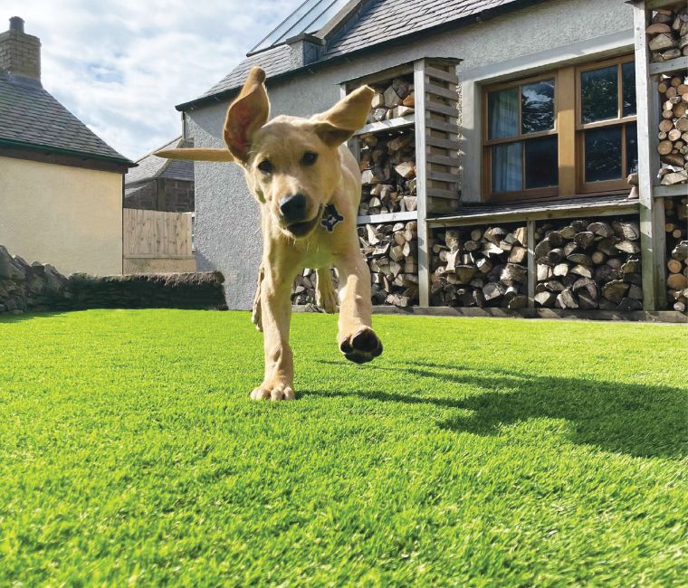 5 Artificial Grass Products That Are Perfect For You