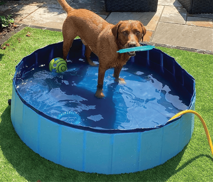 The Best Water Play Activities for Kids on Artificial Grass