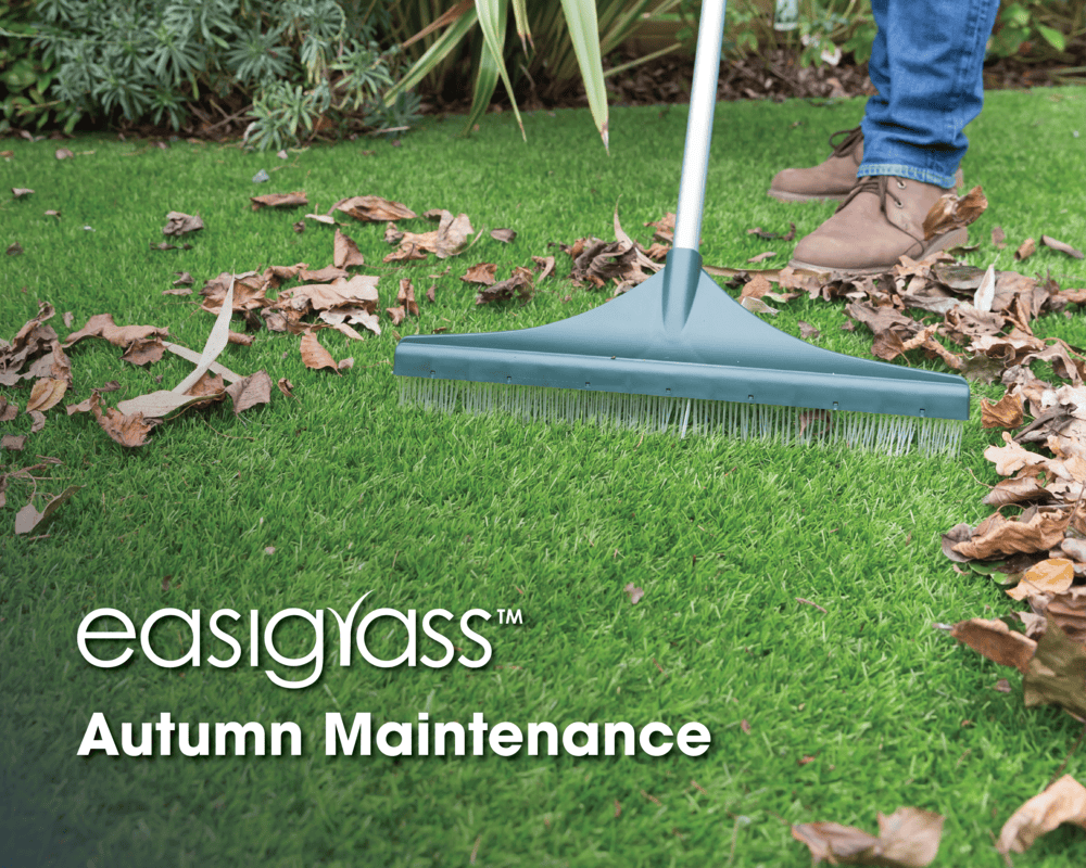 Get Your Garden Ready for Autumn