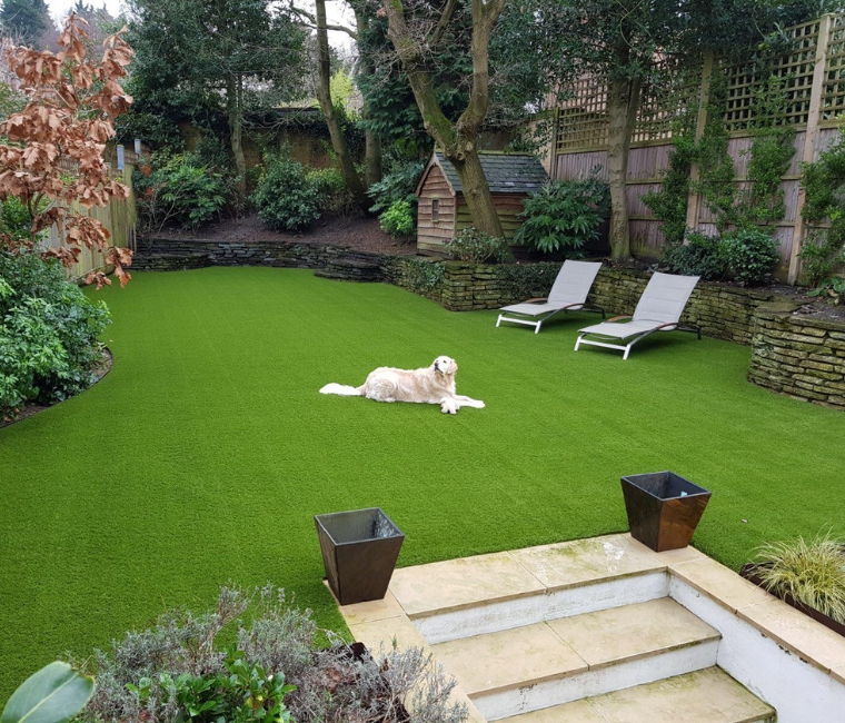 The Ultimate Family-Friendly Backyard Staycation