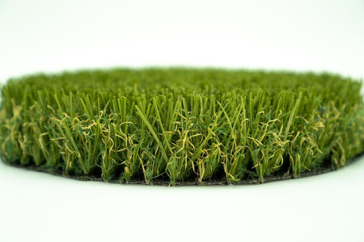 chelsea-1200x0-c-default