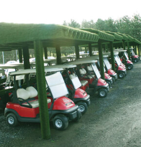 Easigrass-Newsletter-Golf-Buggy-3