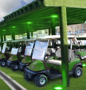 Easigrass-Newsletter-Golf-Buggy-4