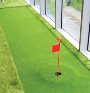 Easigrass-Newsletter-Putting-Green-3