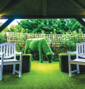 Easigrass-Newsletter-Silverleigh-Care-Home-3