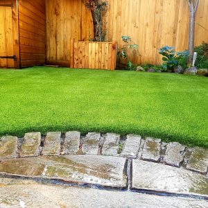 artificial-grass-for-gardens-belgravia-2