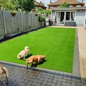 artificial-grass-for-gardens-belgravia-4
